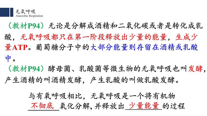 5.3细胞呼吸的原理和应用（2）课件PPT第5页