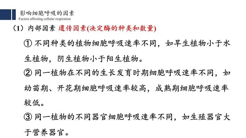 5.3细胞呼吸的原理和应用（2）课件PPT第6页
