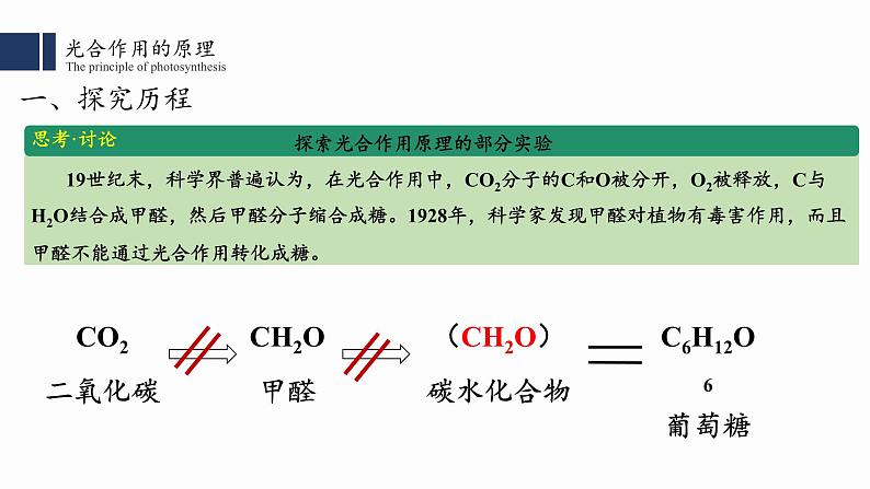 5.4光合作用与能量转化（2）课件PPT02