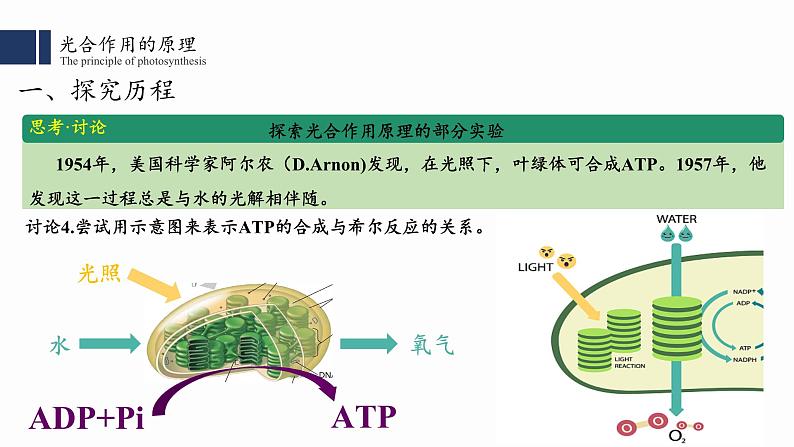 5.4光合作用与能量转化（2）课件PPT07