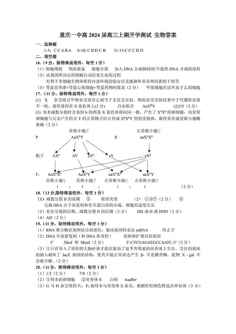 重庆市第一中学2023-2024学年高三上学期开学考试生物试题（图片版含答案）01