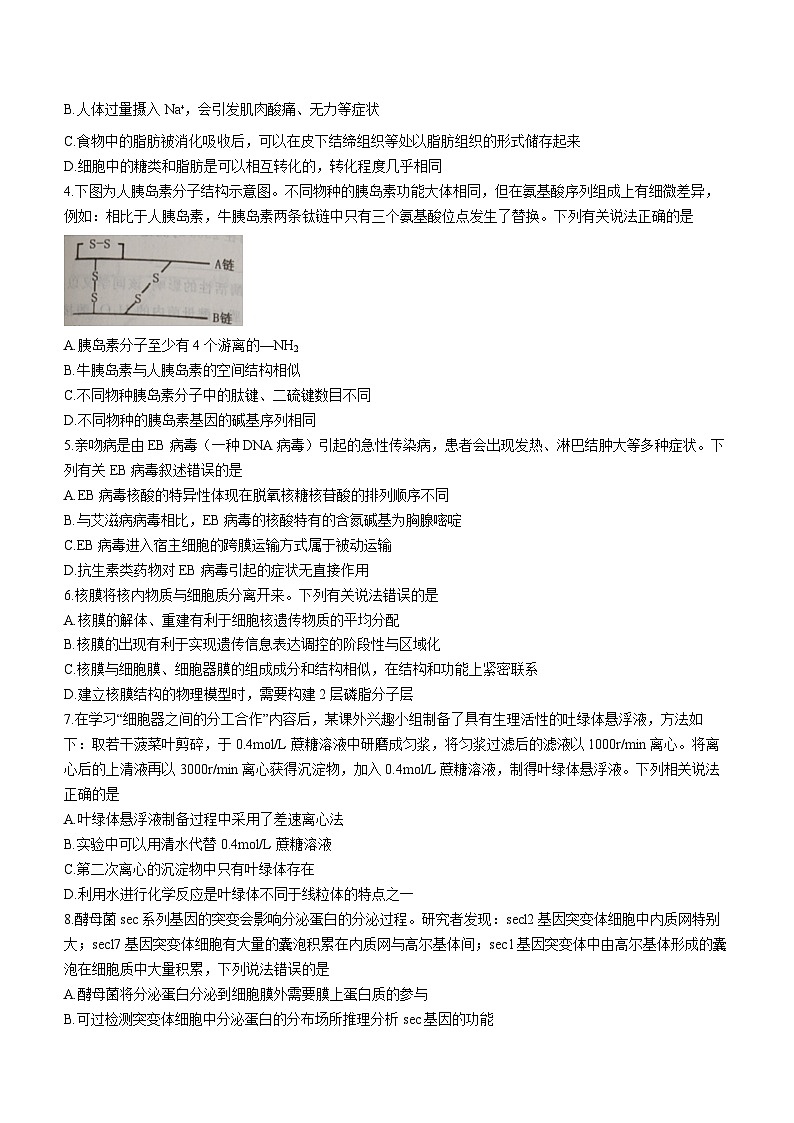 湖北省黄冈市2023-2024学年高三上学期9月调研考试生物试题02