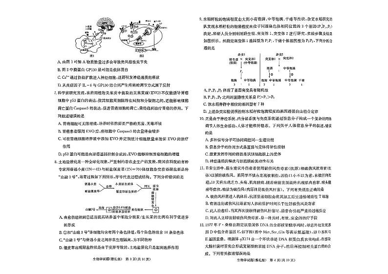 湖南省雅礼中学2024届高三月考试卷（一）生物第2页