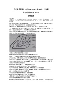 2024贵阳一中高三上学期适应性月考（一）生物含解析