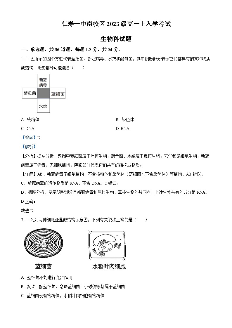 四川省眉山市仁寿一中南校区2023-2024学年高一生物上学期开学考试试题（Word版附解析）第1页