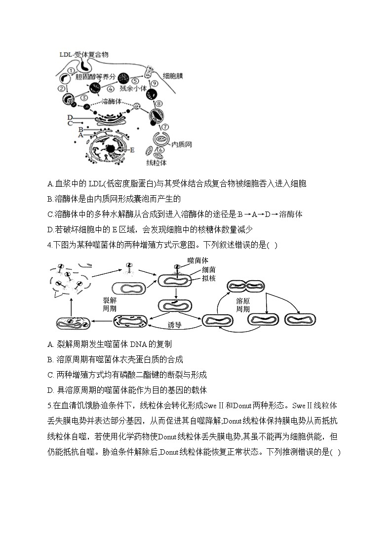 2024届高考生物一轮复习专项练习（1）细胞的结构第2页