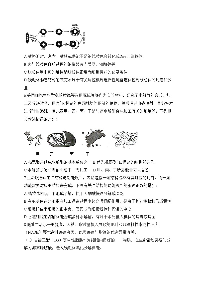2024届高考生物一轮复习专项练习（1）细胞的结构第3页