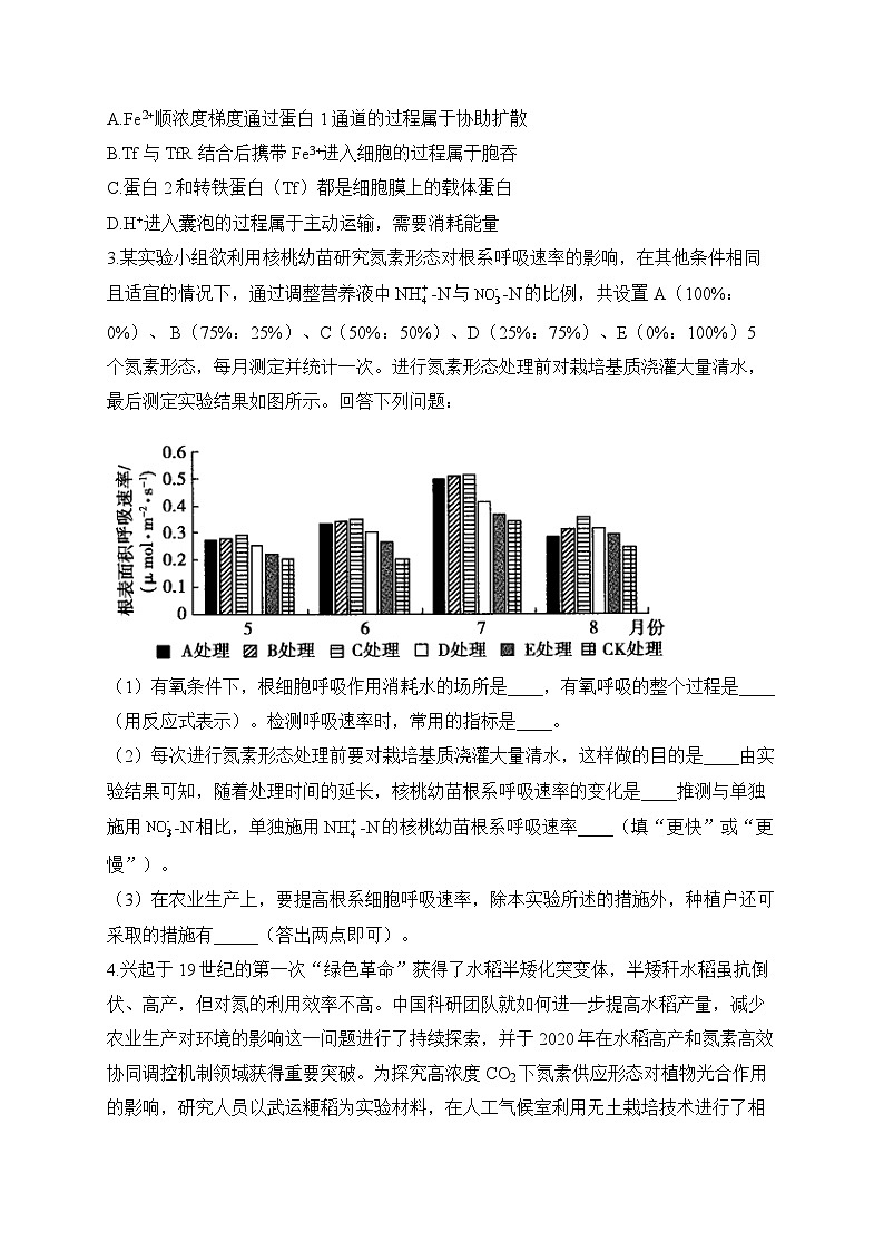 2024届高考生物一轮复习专项练习（2）细胞的代谢第2页