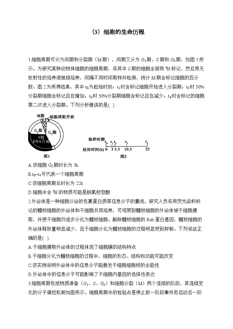 2024届高考生物一轮复习专项练习（3）细胞的生命历程第1页