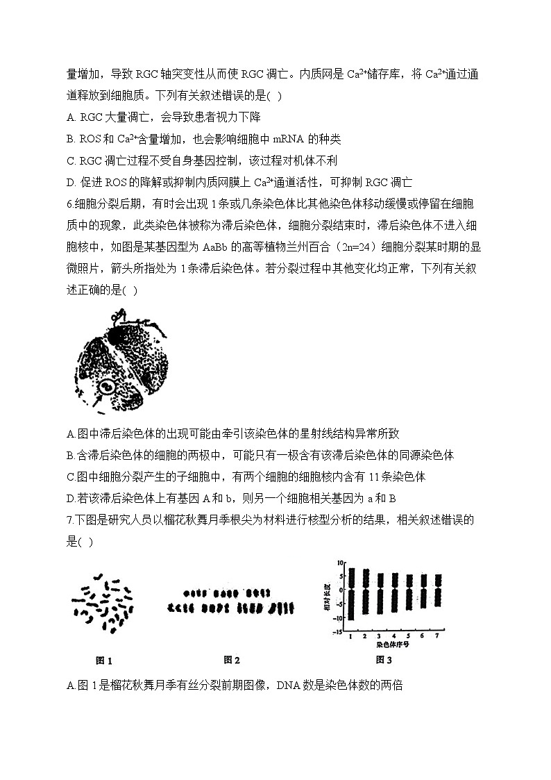 2024届高考生物一轮复习专项练习（3）细胞的生命历程第3页