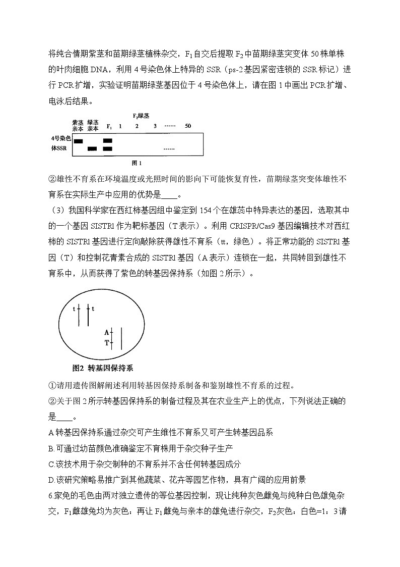 2024届高考生物一轮复习专项练习（4）古典遗传学第3页