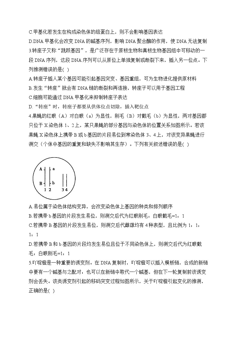 2024届高考生物一轮复习专项练习（5）分子遗传学第2页
