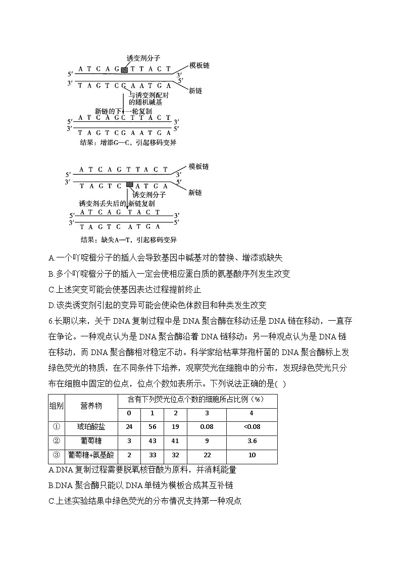 2024届高考生物一轮复习专项练习（5）分子遗传学第3页