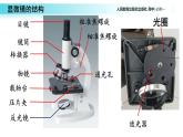 1.2  细胞的多样性和统一性课件PPT