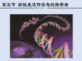 2.5核酸是遗传信息的携带者课件PPT