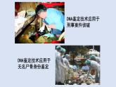 2.5核酸是遗传信息的携带者课件PPT
