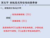 2.5核酸是遗传信息的携带者课件PPT