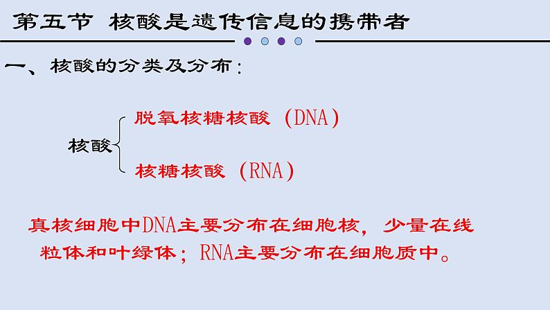 2.5核酸是遗传信息的携带者课件PPT05