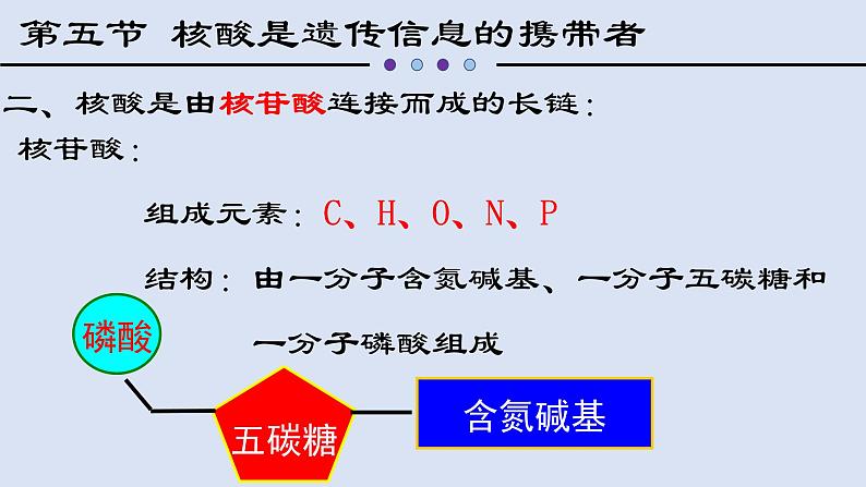 2.5核酸是遗传信息的携带者课件PPT06