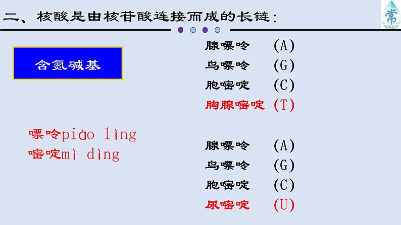 2.5核酸是遗传信息的携带者课件PPT08