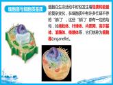 3.2细胞器之间的分工合作课件PPT