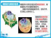 3.2细胞器之间的分工合作课件PPT