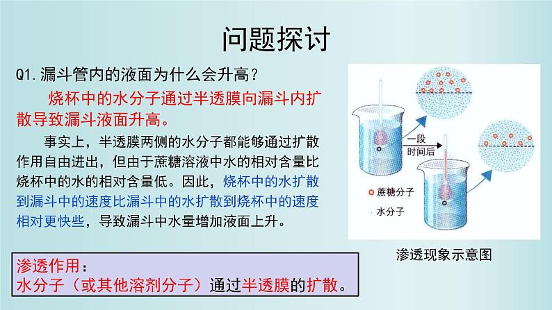 4.1被动运输课件PPT第3页