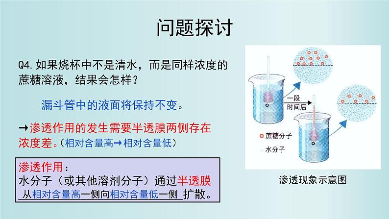 4.1被动运输课件PPT第6页