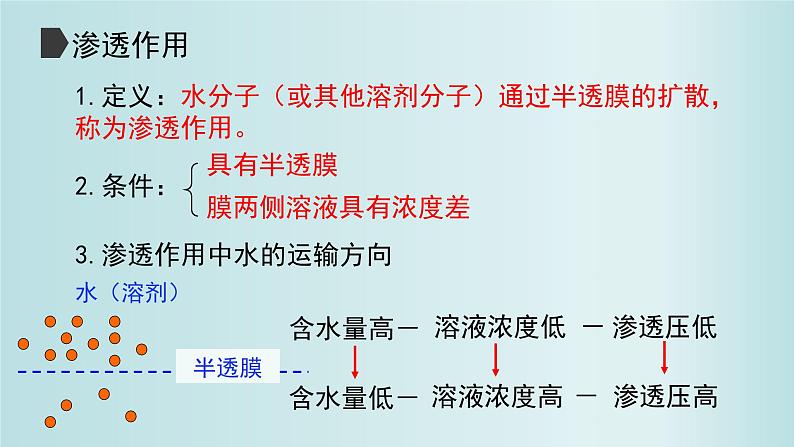 4.1被动运输课件PPT第7页