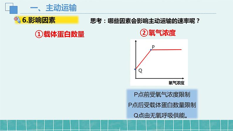 4.2主动运输与胞吞、胞吐课件PPT07