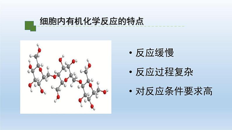 5.1.1降低化学反应活化能的酶——酶的作用和本质课件PPT04