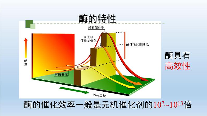 5.1.2降低化学反应活化能的酶——酶的特性课件PPT04