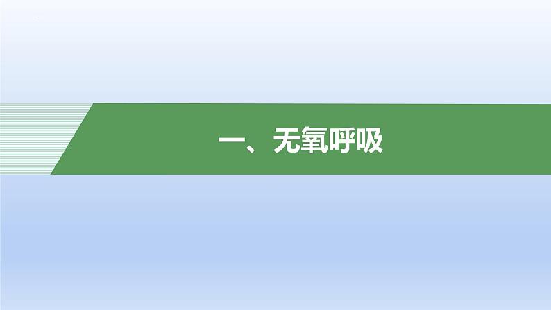 5.3 细胞呼吸的原理和应用——无氧呼吸课件PPT第3页