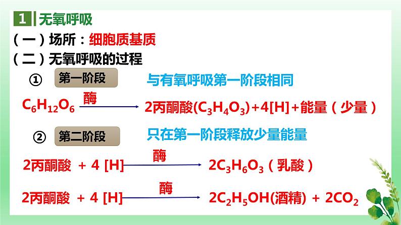 5.3 细胞呼吸的原理和应用——无氧呼吸课件PPT第4页