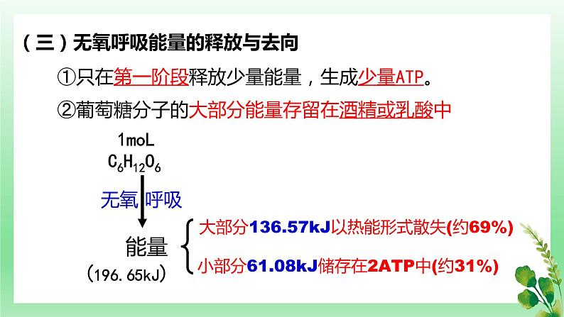 5.3 细胞呼吸的原理和应用——无氧呼吸课件PPT第6页