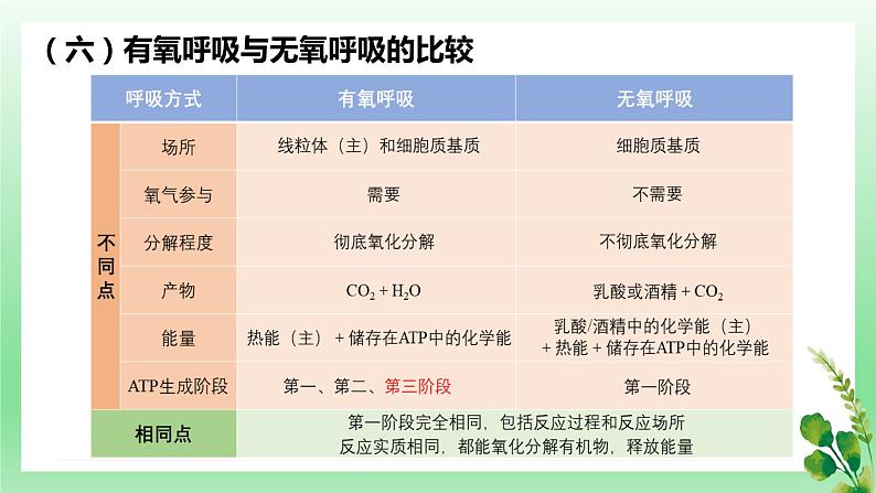 5.3 细胞呼吸的原理和应用——无氧呼吸课件PPT第8页