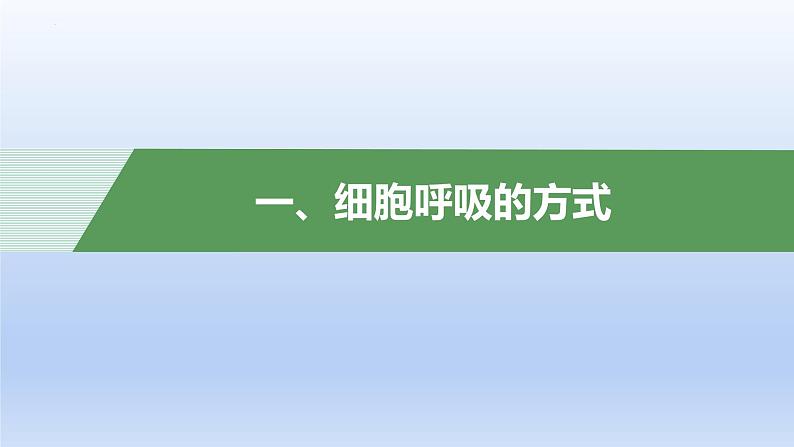 5.3 细胞呼吸的原理和应用——有氧呼吸课件PPT第3页