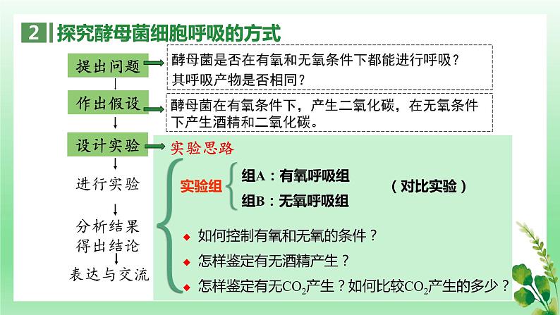 5.3 细胞呼吸的原理和应用——有氧呼吸课件PPT第7页