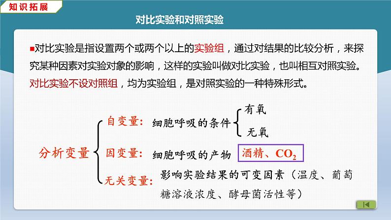 5.3 细胞呼吸的原理和应用——有氧呼吸课件PPT第8页