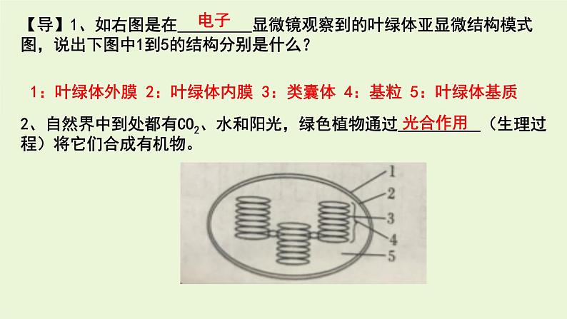 5.4.2 光合作用的原理和应用 第二课时课件PPT第3页