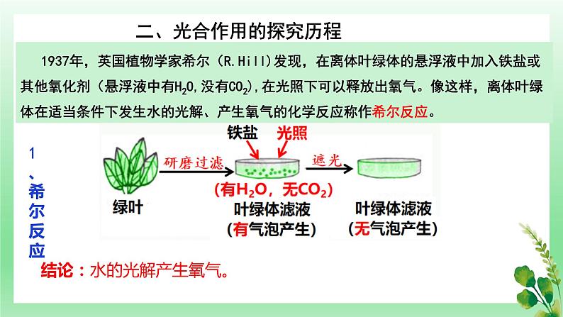 5.4.2 光合作用的原理和应用 第二课时课件PPT第5页