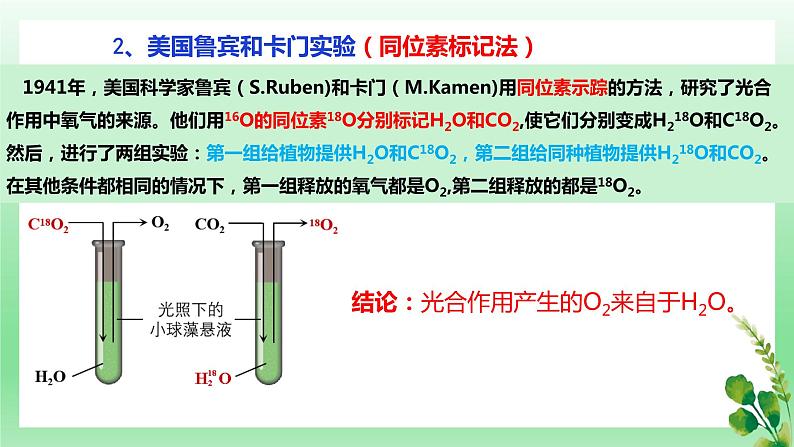 5.4.2 光合作用的原理和应用 第二课时课件PPT第7页