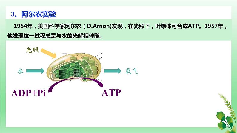 5.4.2 光合作用的原理和应用 第二课时课件PPT第8页