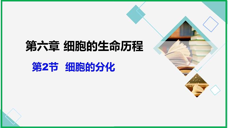 6.2细胞的分化课件PPT02