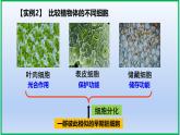 6.2细胞的分化课件PPT