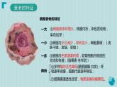 6.3细胞的衰老和死亡课件PPT