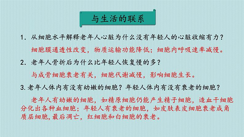 6.3细胞的衰老和死亡课件PPT第5页