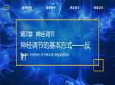 【核心素养目标】2.2《神经调节的基本方式》课件+教案