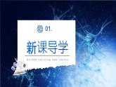 2.1《神經(jīng)調(diào)節(jié)的結(jié)構(gòu)基礎(chǔ)》課件+教案