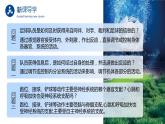 2.1《神經(jīng)調(diào)節(jié)的結(jié)構(gòu)基礎(chǔ)》課件+教案
